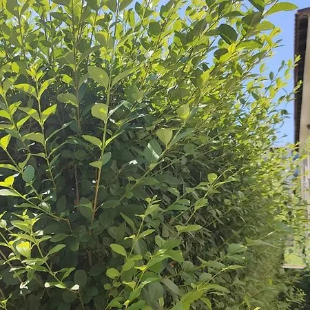 Life Private Sosopol